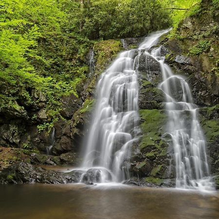 Apple Valley Hideaway, 1089 Of Free Attraction Tickets For Each Paid Day, Dollywood And More! Pigeon Forge Exteriör bild