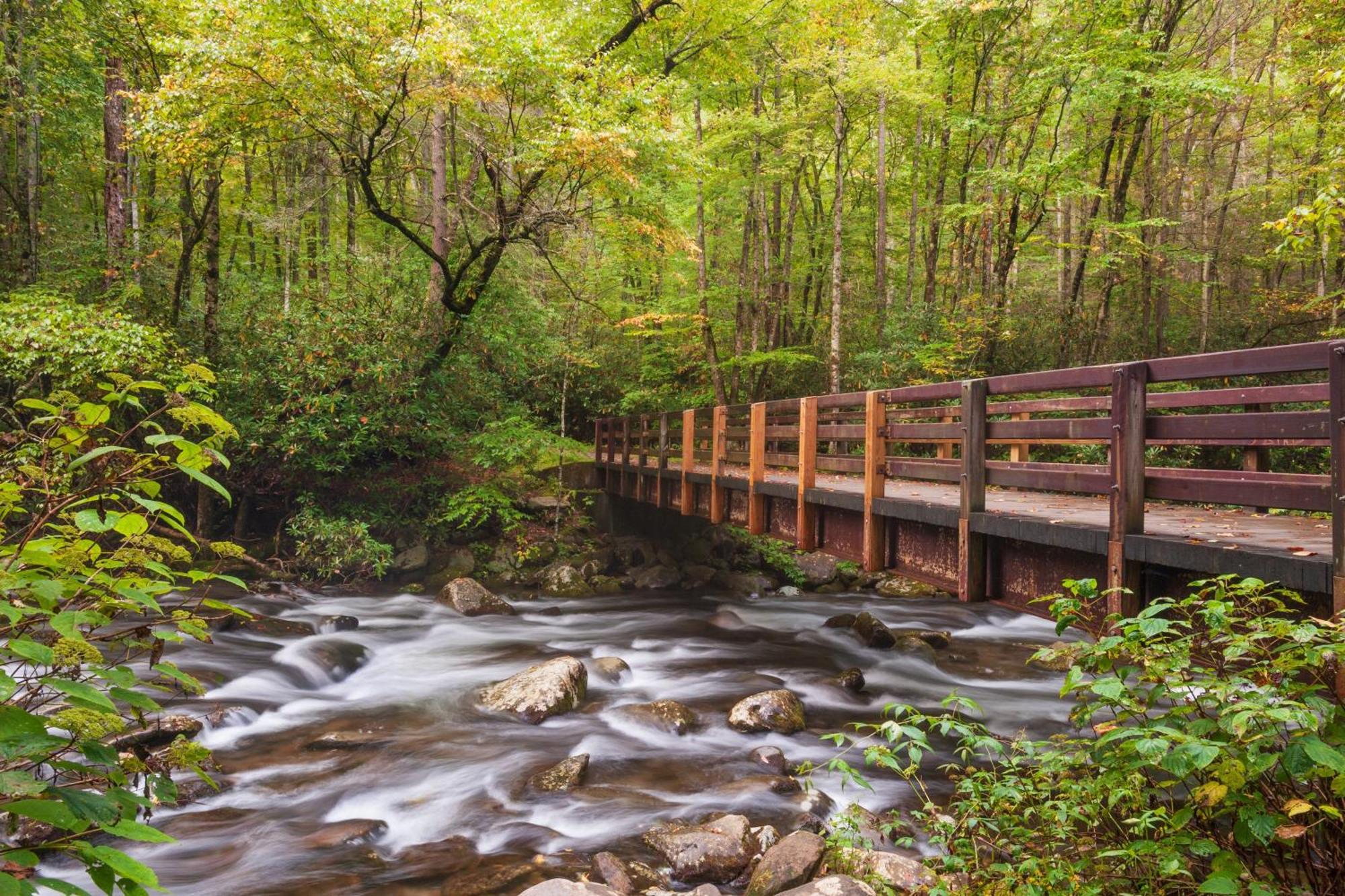 Apple Valley Hideaway, 1089 Of Free Attraction Tickets For Each Paid Day, Dollywood And More! Pigeon Forge Exteriör bild