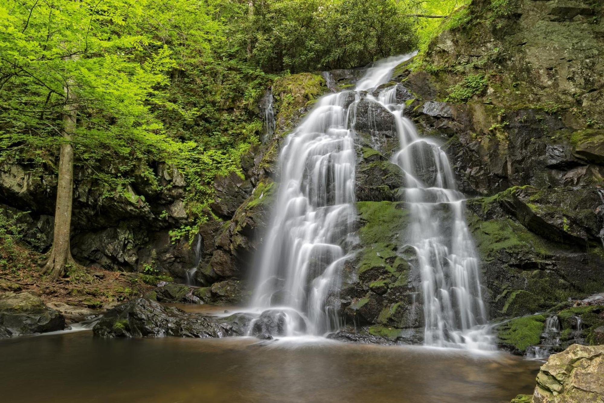 Apple Valley Hideaway, 1089 Of Free Attraction Tickets For Each Paid Day, Dollywood And More! Pigeon Forge Exteriör bild